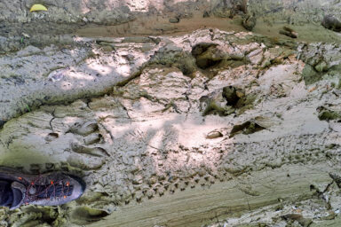 Wilcze Góry – W Poszukiwaniu Dzikości