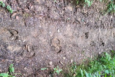 Wilcze Góry – W Poszukiwaniu Dzikości