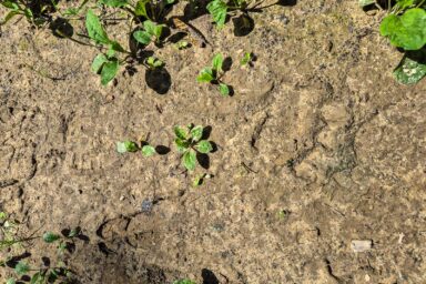 Wilcze Góry – W Poszukiwaniu Dzikości