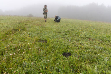 Wilcze Góry – W Poszukiwaniu Dzikości