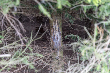 Wilcze Góry – W Poszukiwaniu Dzikości