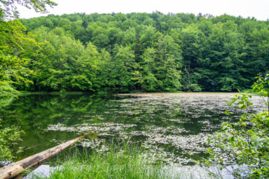 Wilcze Góry – W Poszukiwaniu Dzikości