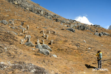 Po Dwóch Stronach Kanczendzongi