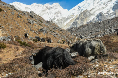 Po Dwóch Stronach Kanczendzongi