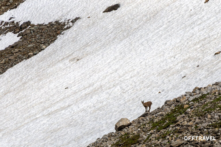 Tour du Mont Blanc