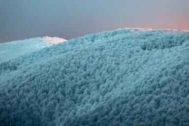 Bieszczadzkie Wędrowanie