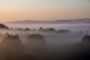 Bieszczadzkie Wędrowanie