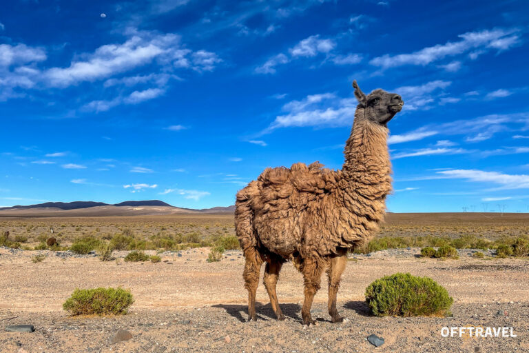 Tajemnice Altiplano - wyprawa przygodowa do Chile, Argentyny i Boliwi z OFFTRAVEL